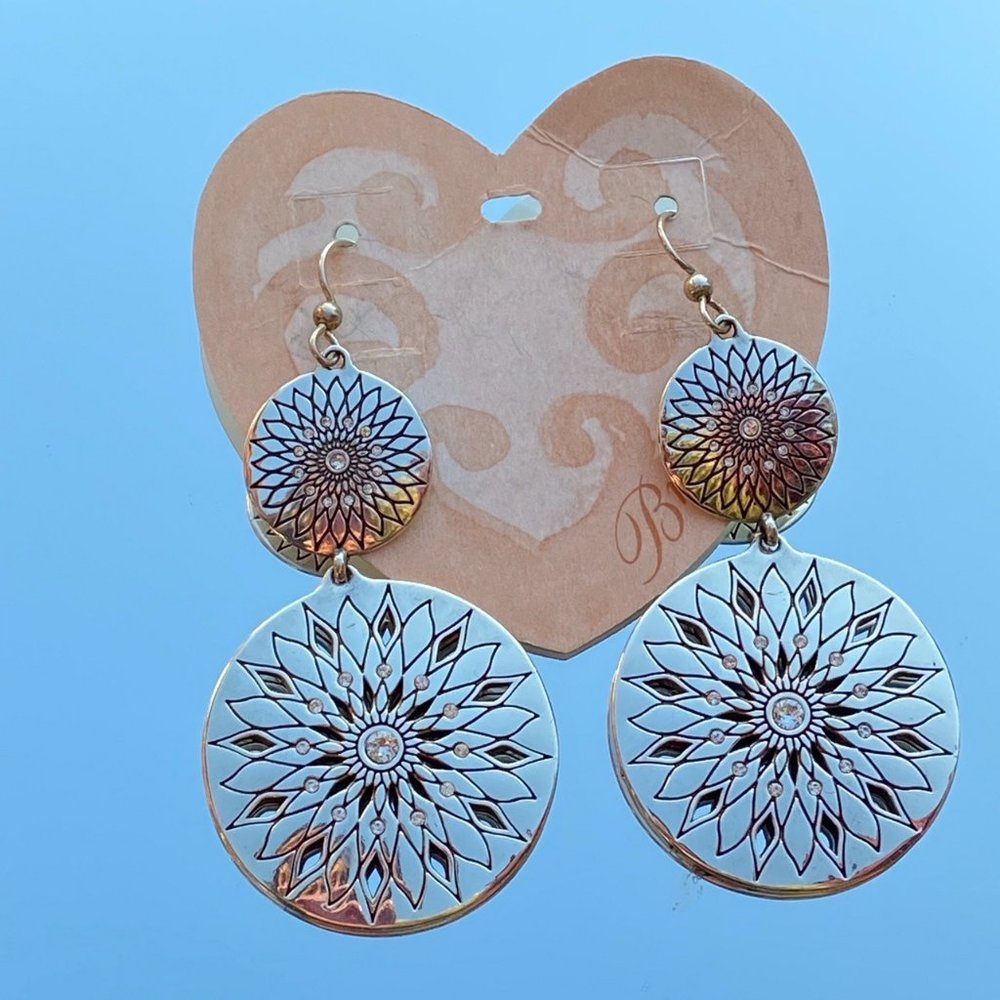 silver dangly earrings